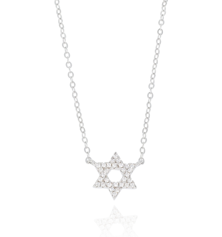 925 Sterling Silver Star of David Necklace