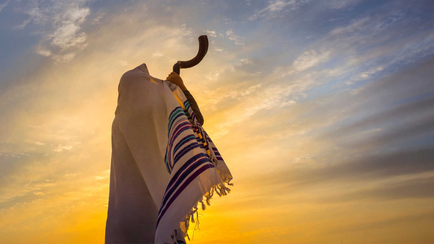 Kosher Natural Shofar